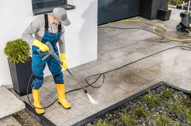 Best Affordable Pressure Washing  in Alderson, WV